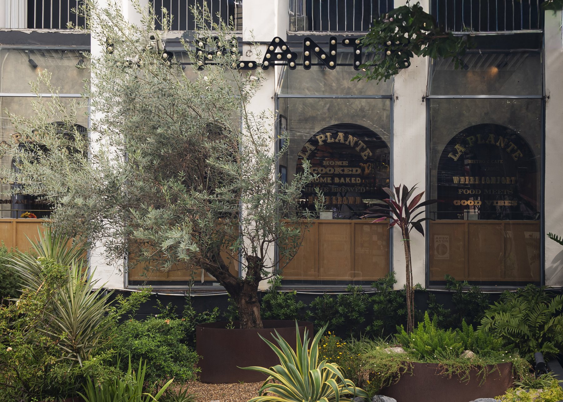 LA PLANTE storefront